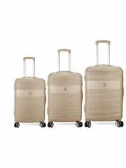 Juego De 3 Maletas Más Neceser Damasco Dorado